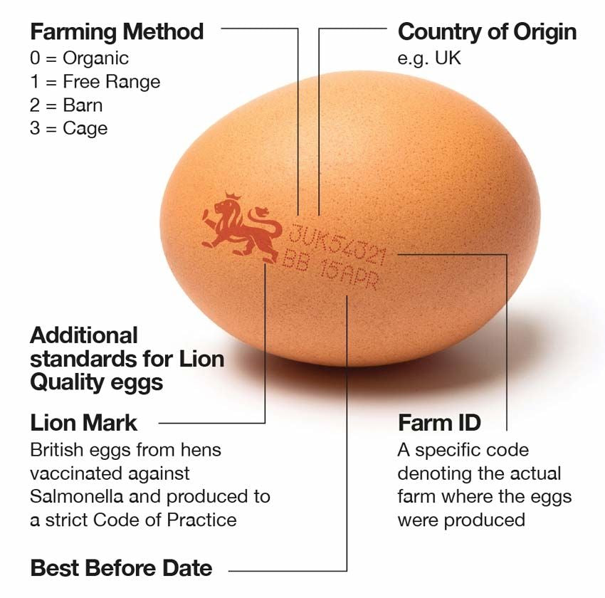 Worried about eggs?