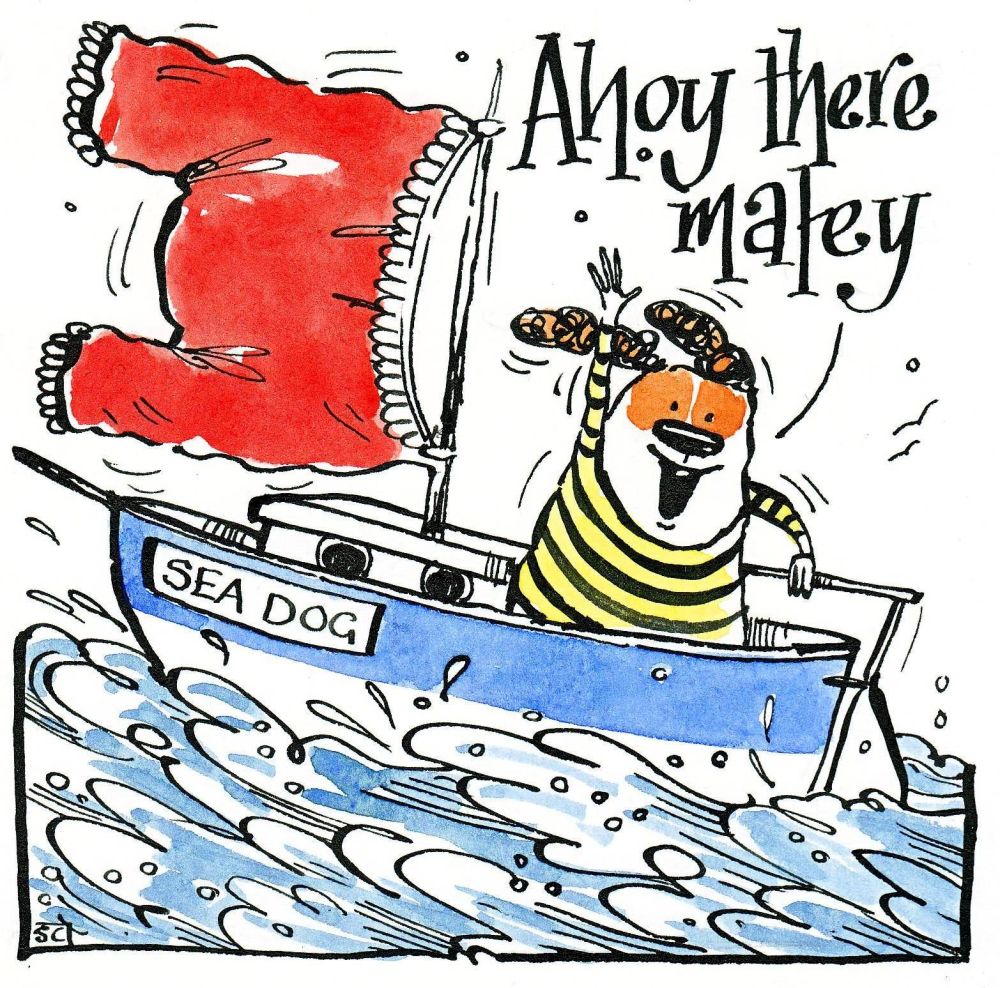 Greetings Card - Ahoy Matey
