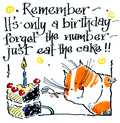 Greetings Card - Birthday Cat