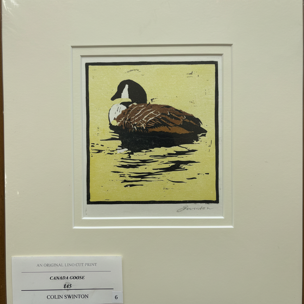 Canada Goose mounted print - straightened