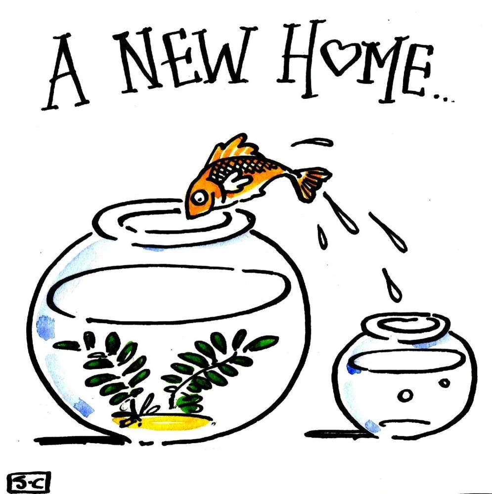 Greetings Card - New Home Bowl