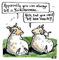 Greetings Card - Sheep Yorkshireman